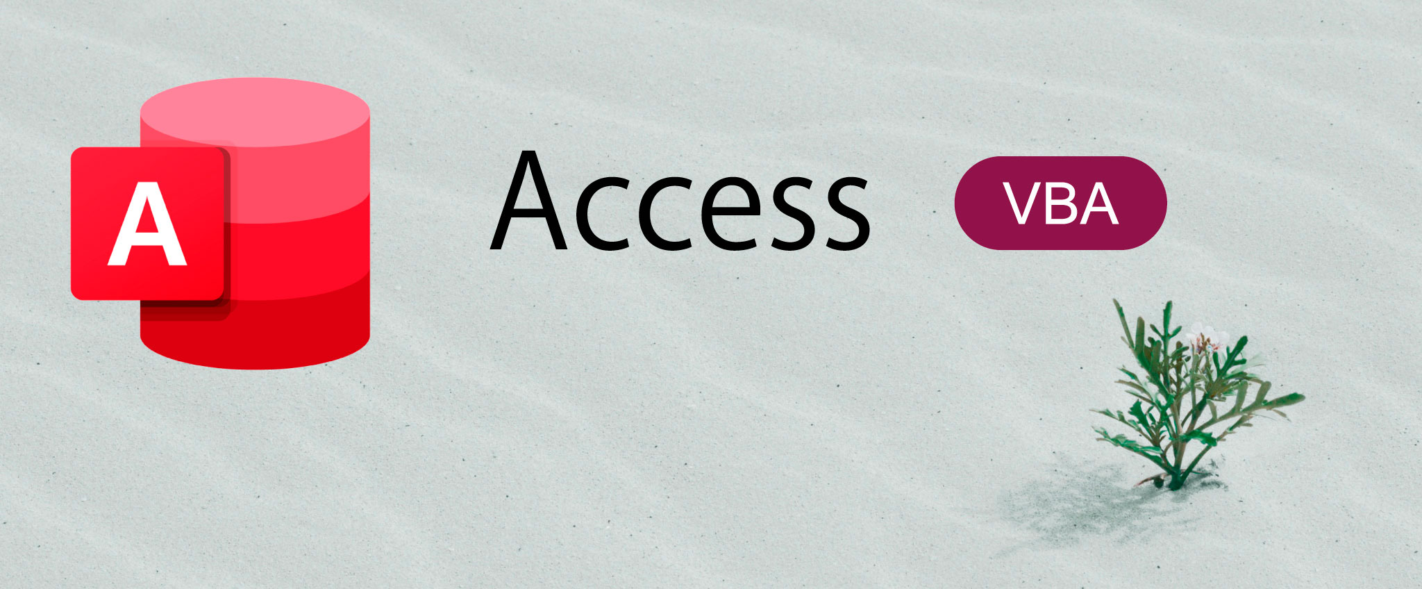 Microsoft Access Macro VBA