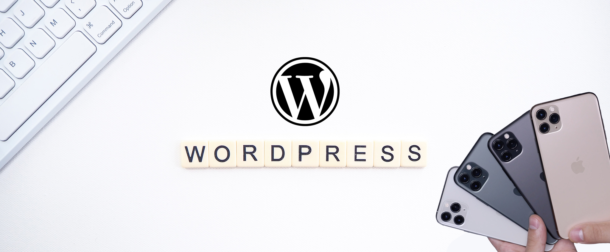 WordPressコース
