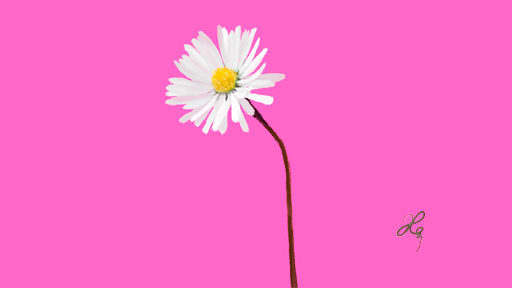 マーガレット（花）を描くデジタルイラストメイキング